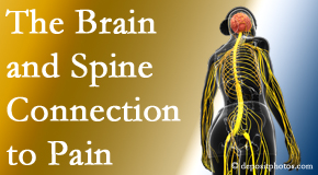 Manchester Chiropractic & Sports Injuries looks at the connection between the brain and spine in back pain patients to better help them find pain relief.