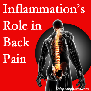 The role of inflammation in Manchester back pain is real. Chiropractic care can help.
