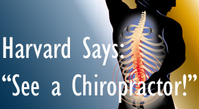 Manchester chiropractic for back pain relief urged by Harvard