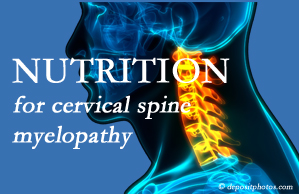 Manchester Chiropractic & Sports Injuries presents the nutritional factors in cervical spine myelopathy in its development and management.