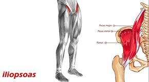 Manchester Back Pain and Iliopsoas Muscle Link