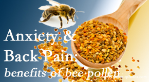 Manchester Chiropractic & Sports Injuries shares info on the benefits of bee pollen on cognitive function that may be impaired when dealing with back pain.