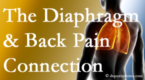 Manchester Chiropractic & Sports Injuries recognizes the relationship of the diaphragm to the body and spine and back pain. 
