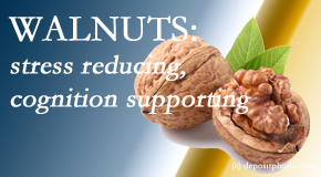 Manchester Chiropractic & Sports Injuries shares a picture of a walnut which is said to be good for the gut and reduce stress.