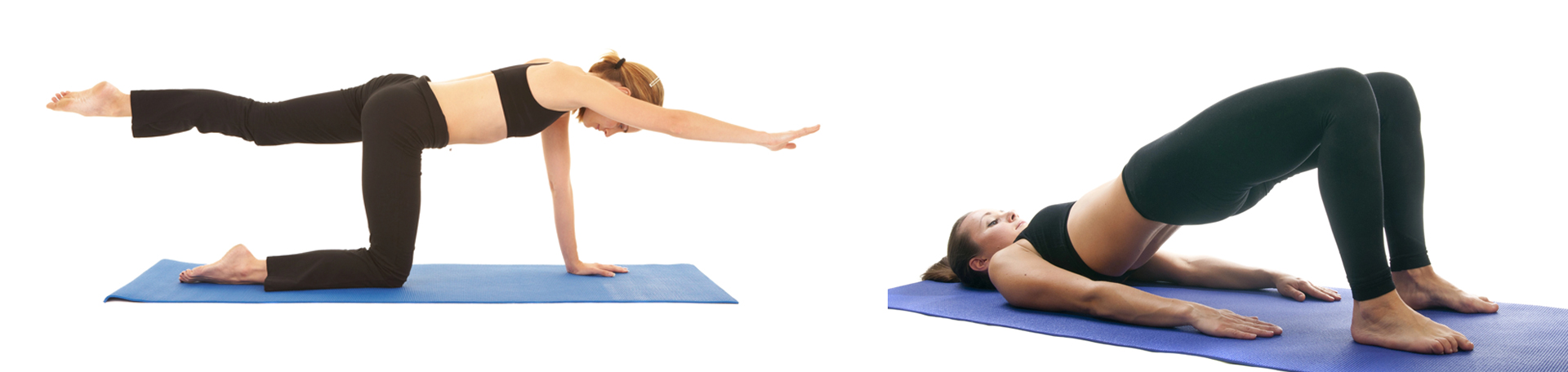 Manchester chiropractic exercise to strengthen multifidus