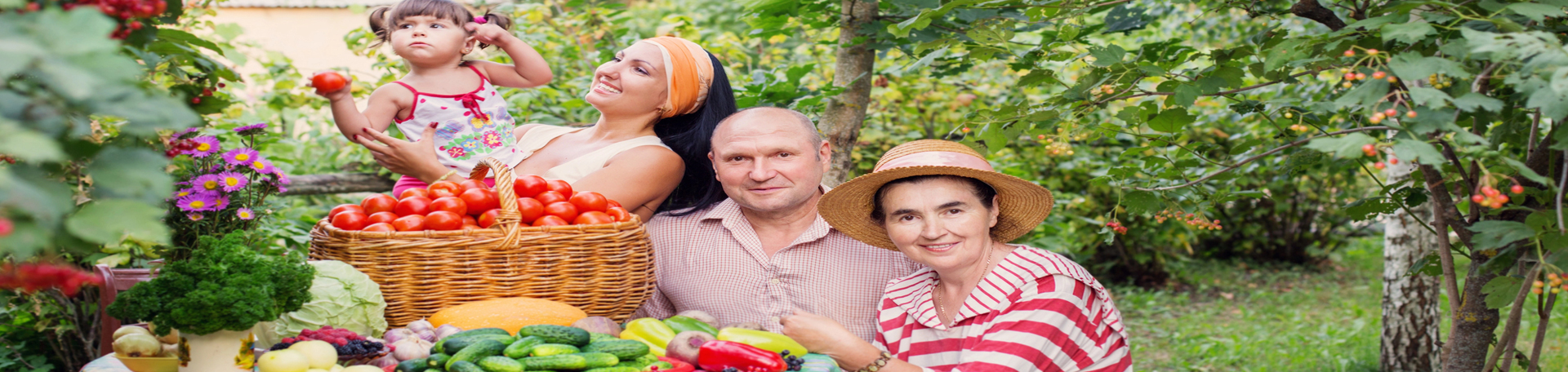  Manchester chiropractic summer health tips