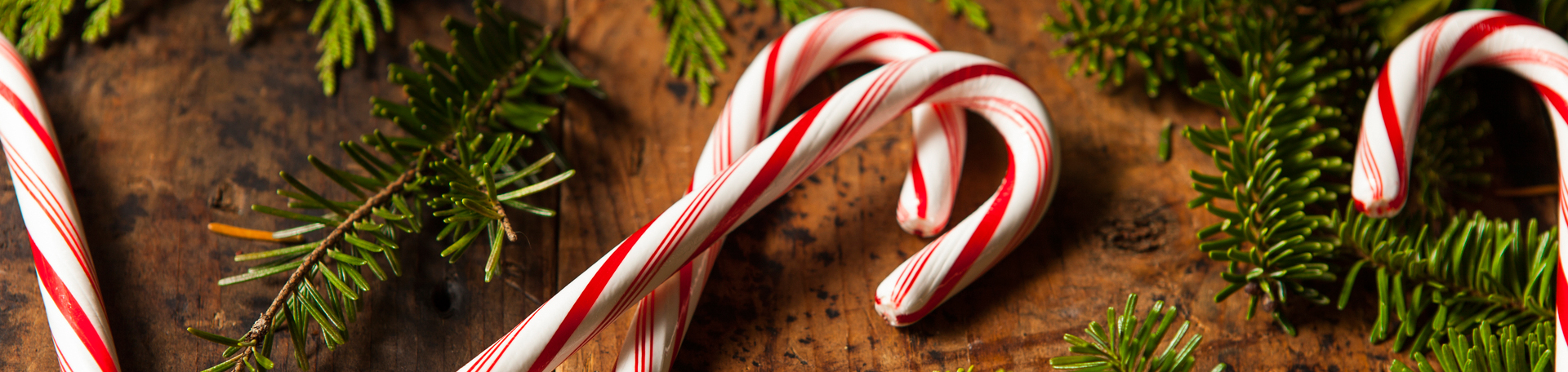 Peppermint for Manchester Cognition & Appetite Regulation!