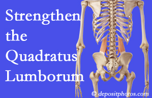 Manchester chiropractic care offers exercise recommendations to strengthen spine muscles like the quadratus lumborum as the back heals and recovers.