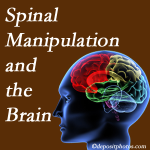 Manchester Chiropractic & Sports Injuries [shares research on the benefits of spinal manipulation for brain function. 