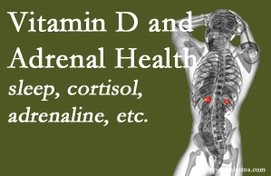 Manchester Chiropractic & Sports Injuries shares new studies about the effect of vitamin D on adrenal health and function.