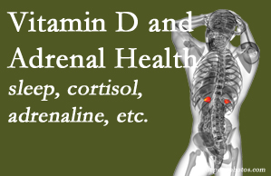 Manchester Chiropractic & Sports Injuries shares new research about the effect of vitamin D on adrenal health and function.